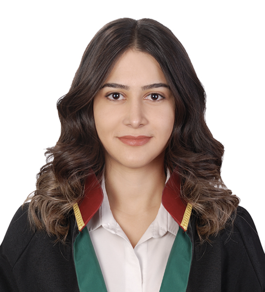 avukat, kayseri icra avukatı, kayseri avukatı, kayseri kira avukatı, kayseri itiraz, mahkeme, dava, kira sözleşmesi, tahliye avukatı, hakaret davası